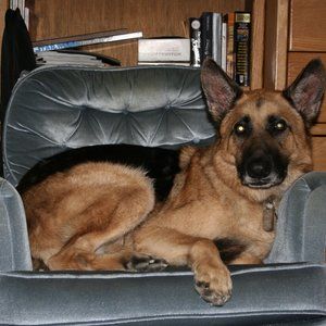 Meet your Posher, Taraneh